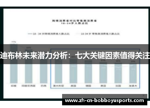 迪布林未来潜力分析：七大关键因素值得关注