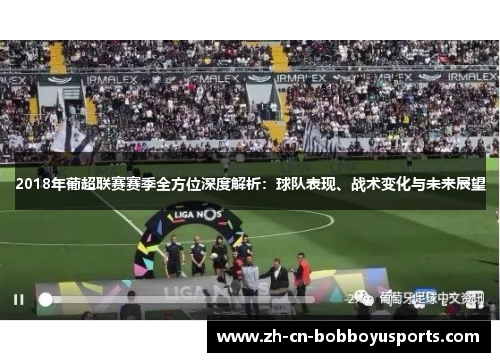 2018年葡超联赛赛季全方位深度解析：球队表现、战术变化与未来展望