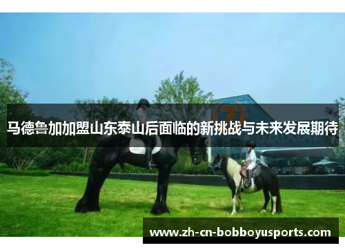 马德鲁加加盟山东泰山后面临的新挑战与未来发展期待