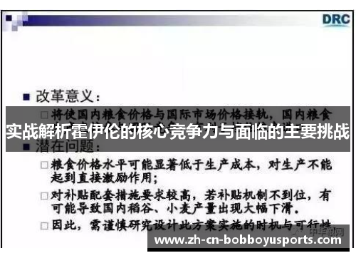 实战解析霍伊伦的核心竞争力与面临的主要挑战