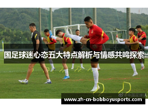 国足球迷心态五大特点解析与情感共鸣探索