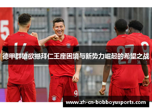 德甲群雄欲撼拜仁王座困境与新势力崛起的希望之战